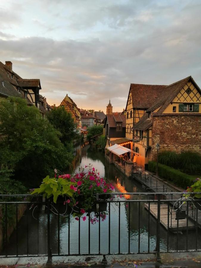 La Cour De Berthe Ouest Apartment Colmar Bagian luar foto